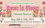Roses in Bloom: A Student Showcase