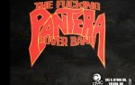 Image for The Fu#k!ng Pantera Cover Band
