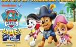 Image for PAW Patrol Live! Great Pirate Adventure